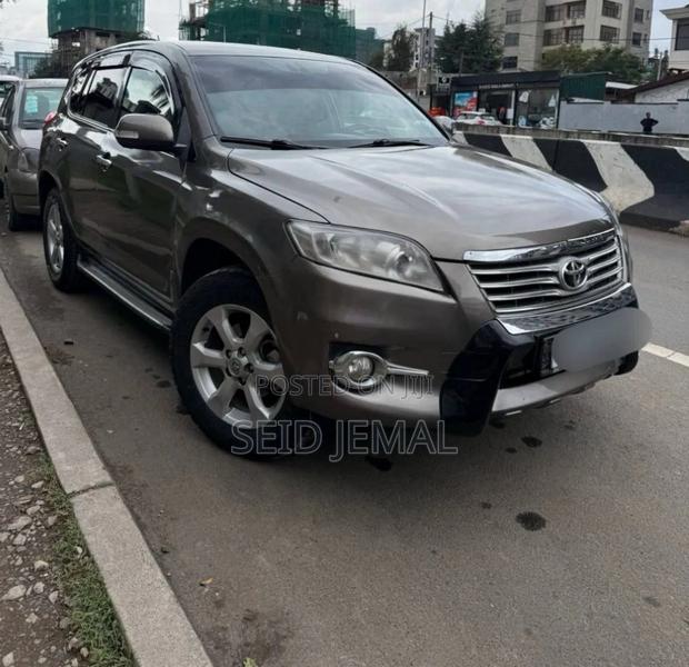 Toyota RAV4 2010 Brown