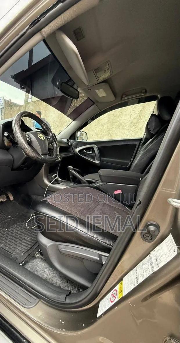 Toyota RAV4 2010 Brown
