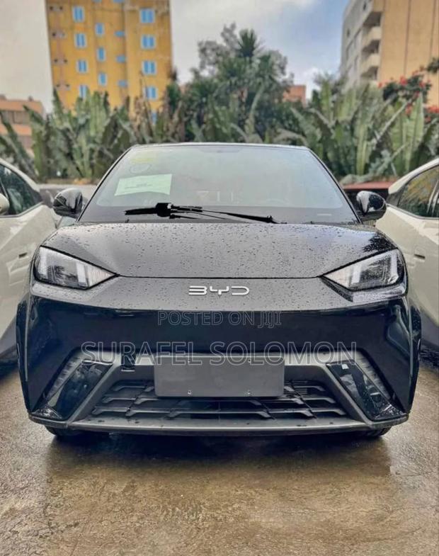 New BYD Seagull 2025 Black