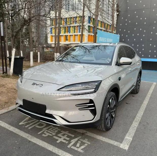 New BYD Song Plus 2025 Gray