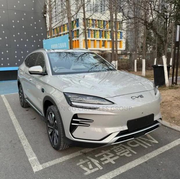 New BYD Song Plus 2025 Gray