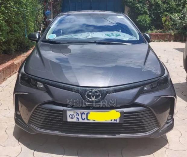 Toyota Corolla 2020 Gray