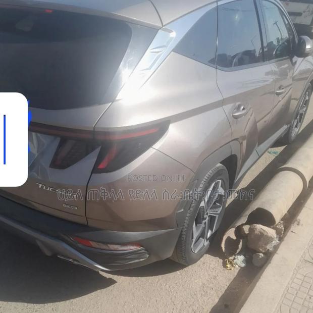 Hyundai Tucson 2022 Pink