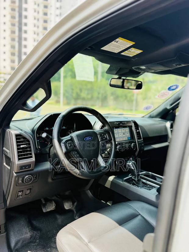 Ford F-150 XLT 4x2 Regular Cab Styleside 6.5 ft. box 122 in. WB 2019