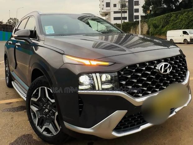 Hyundai Santa Fe 2023 Matt Black