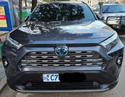 Toyota RAV4 TRD Off Road AWD 2023 Gray for sale