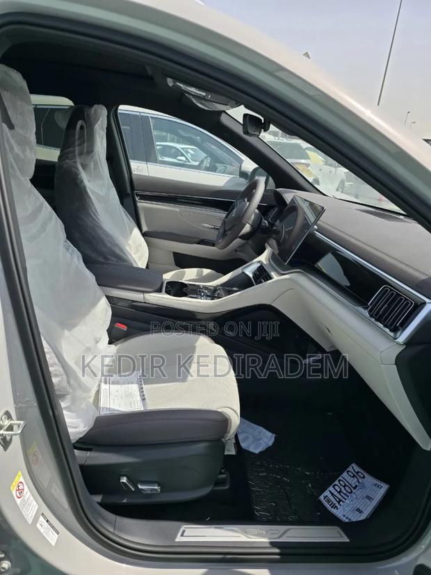 New BYD Song Plus 2025 Brown