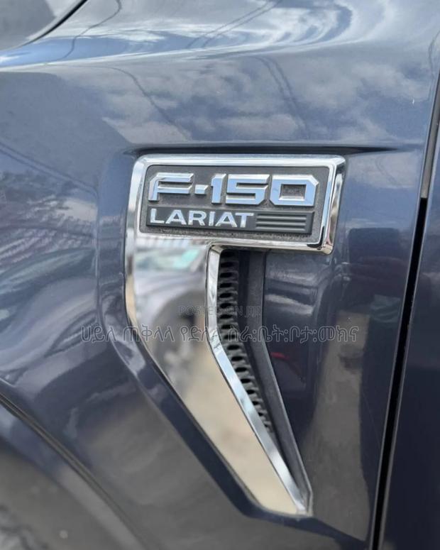 Ford F-150 2021 Gray