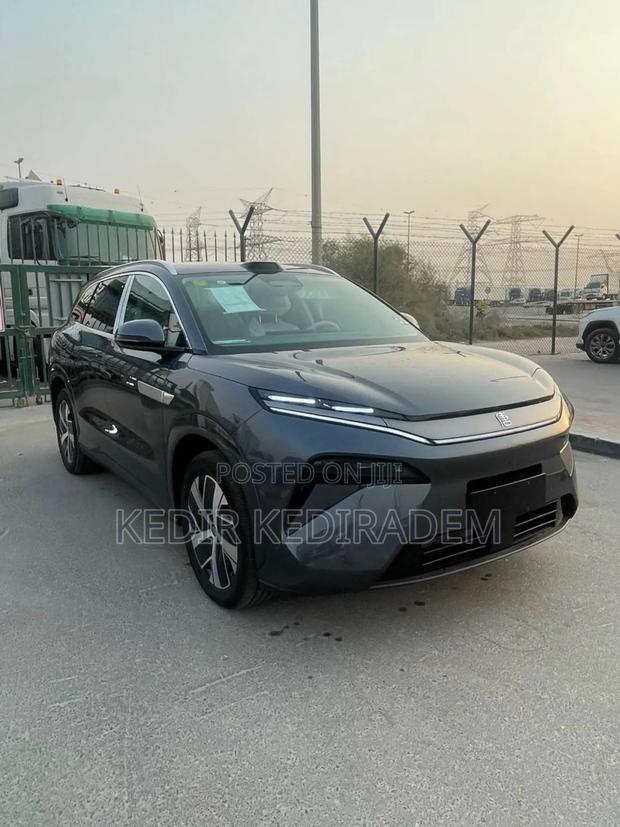 New BYD Tang DM-i 2025 Gray