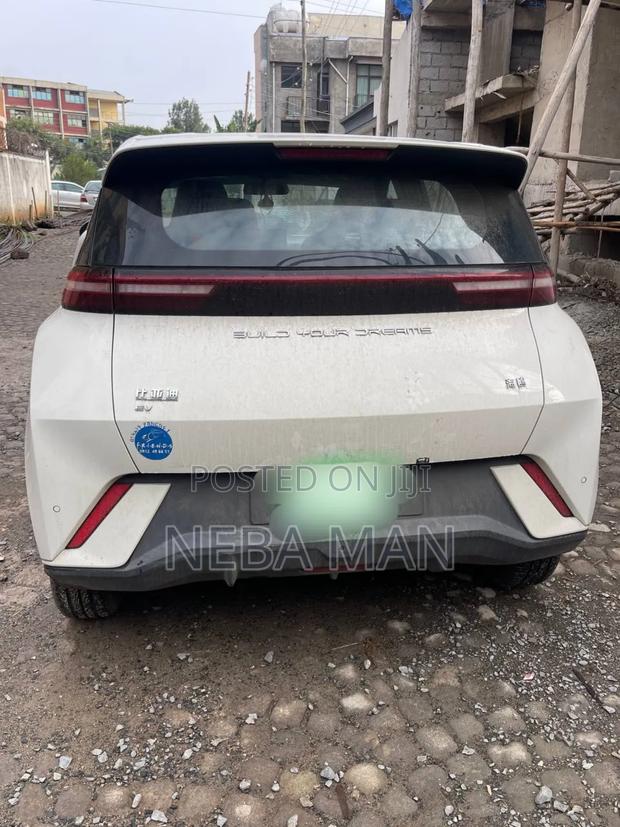 BYD Seagull 2024