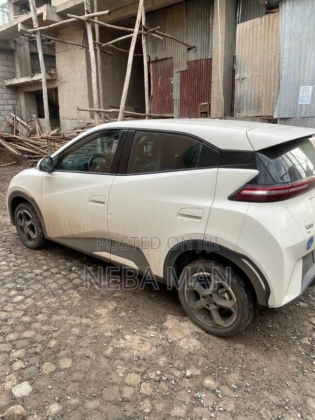 BYD Seagull 2024