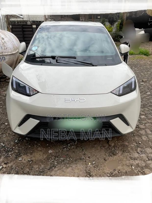 BYD Seagull 2024