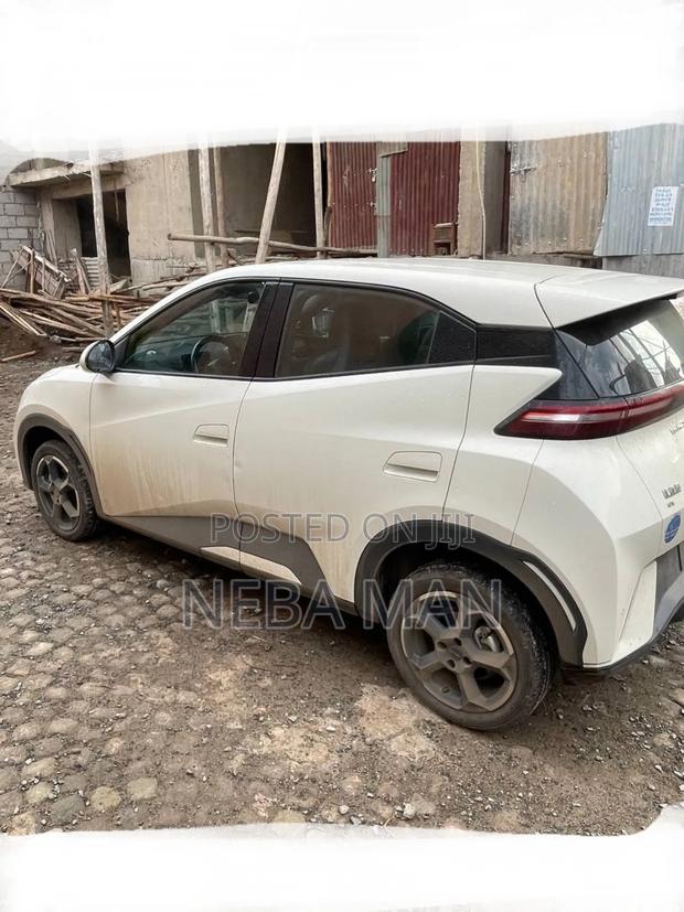BYD Seagull 2024