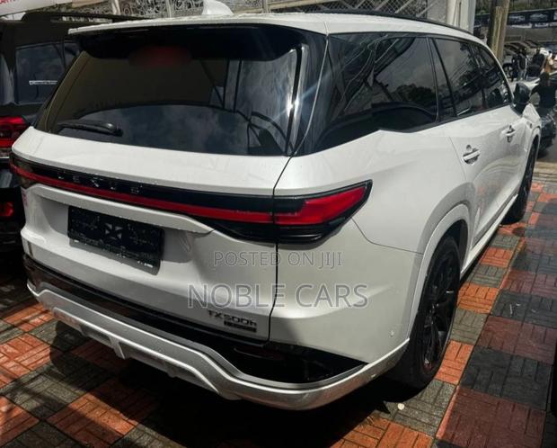 New Lexus TX 2024 White
