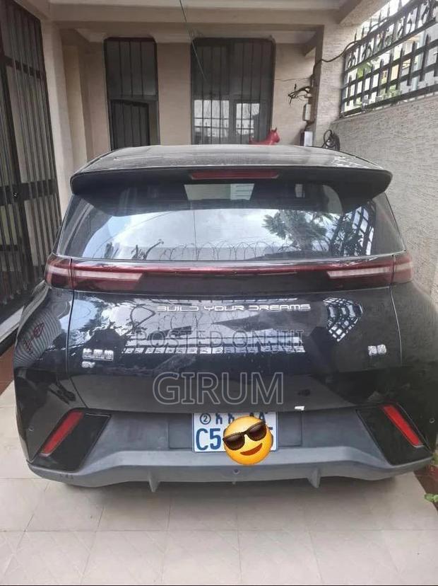 New BYD Seagull 2024 Black
