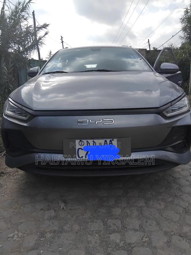 BYD E2 43 kWh 94 hp FWD 2024 Gray