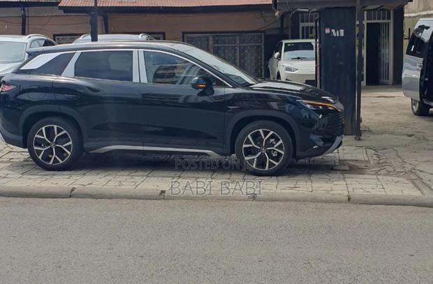 New BYD Song L DM-i 2025 Matt Black