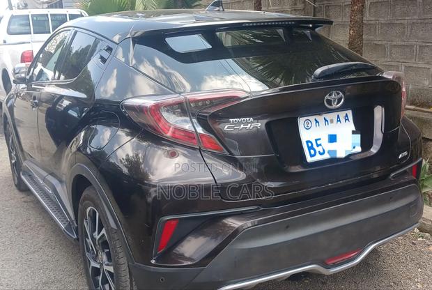 Toyota C-HR 2019 Gray
