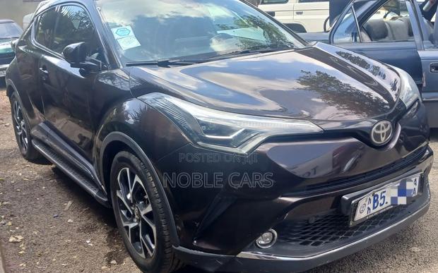 Toyota C-HR 2019 Gray