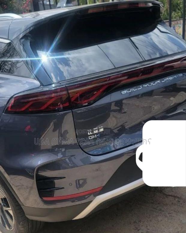 BYD Tang EV 2025 Gray