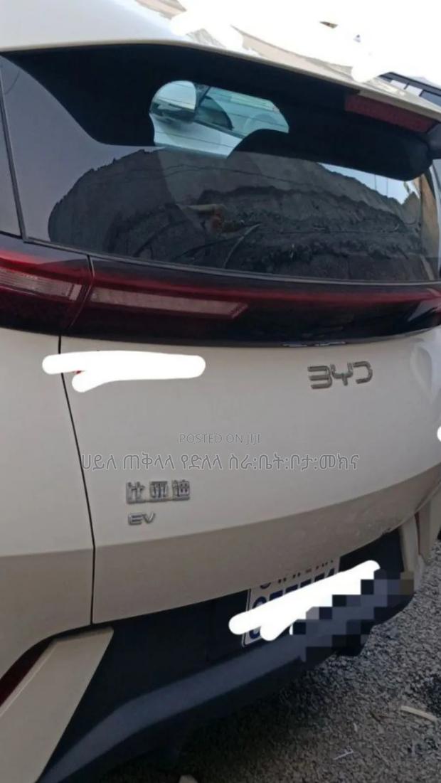 BYD Seagull 2025 Pink