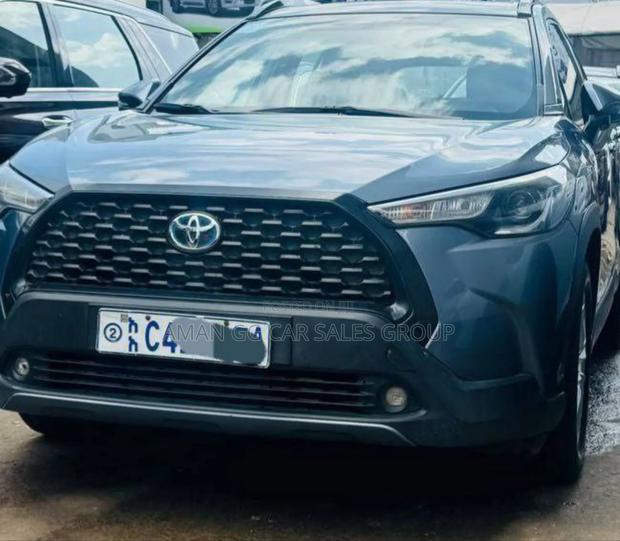 Toyota Corolla 2023 Blue