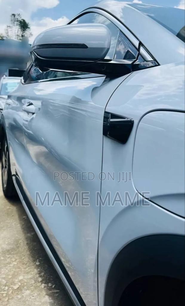 New BYD Yuan Plus 2025 Silver