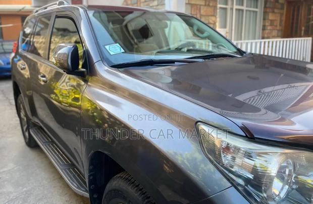 Toyota Land Cruiser Prado 2013 Gray