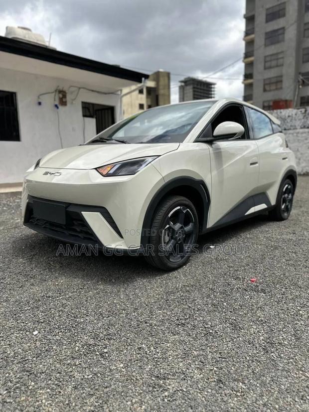 New BYD Seagull 2024 Gray