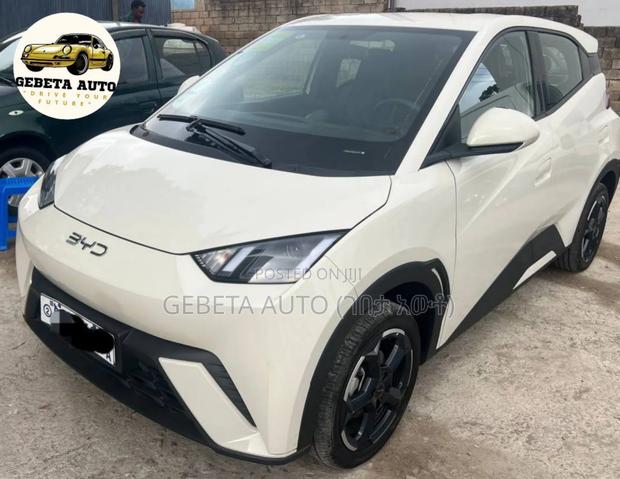 BYD Seagull 2024