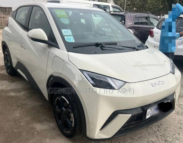 BYD Seagull 2024