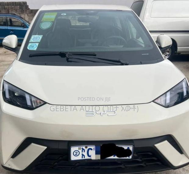 BYD Seagull 2024