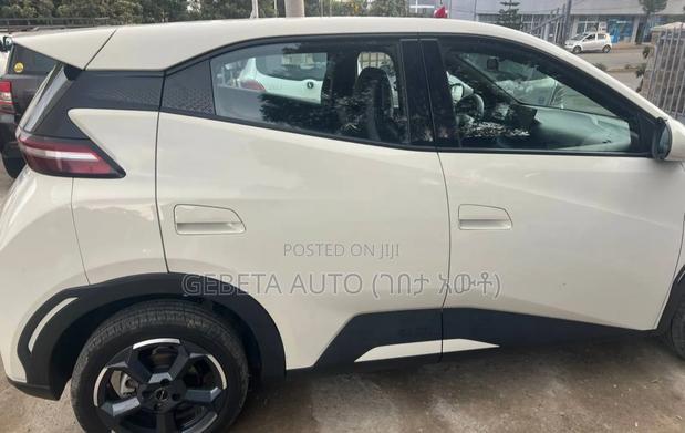 BYD Seagull 2024