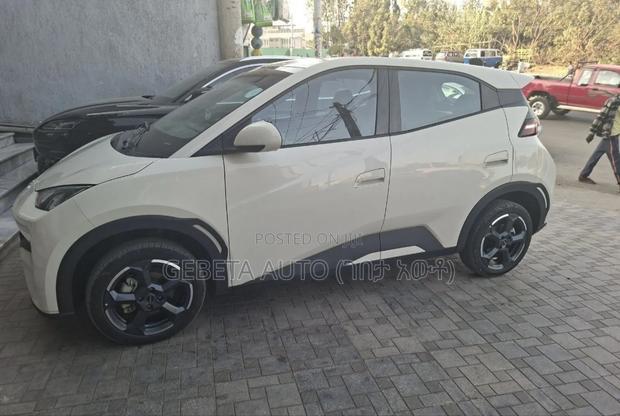 BYD Seagull 2024