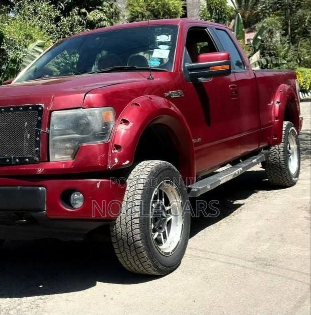 Ford F-150 2013 Burgundy
