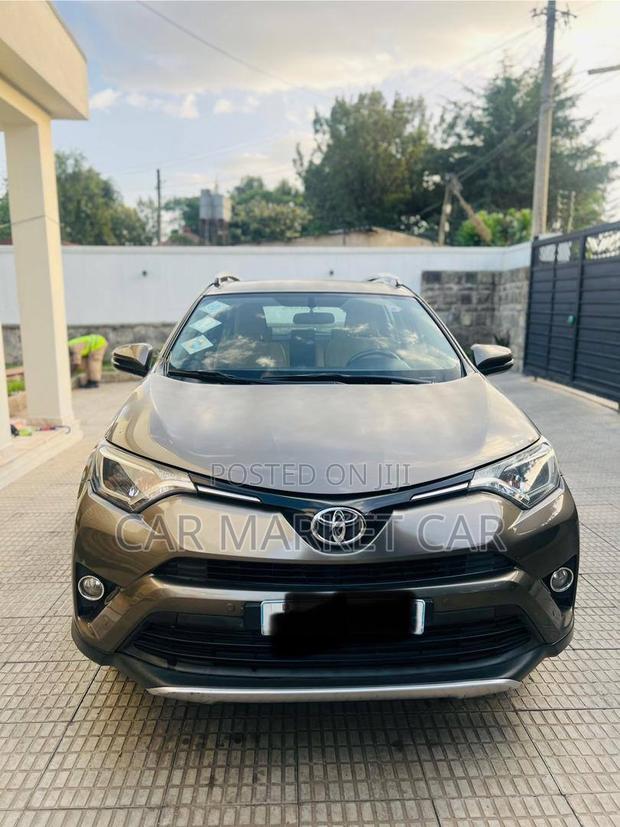 Toyota RAV4 XLE AWD (2.5L 4cyl 6A) 2016 Gray