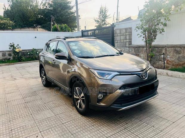 Toyota RAV4 XLE AWD (2.5L 4cyl 6A) 2016 Gray