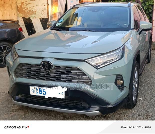 Toyota RAV4 Limited AWD 2019 Green