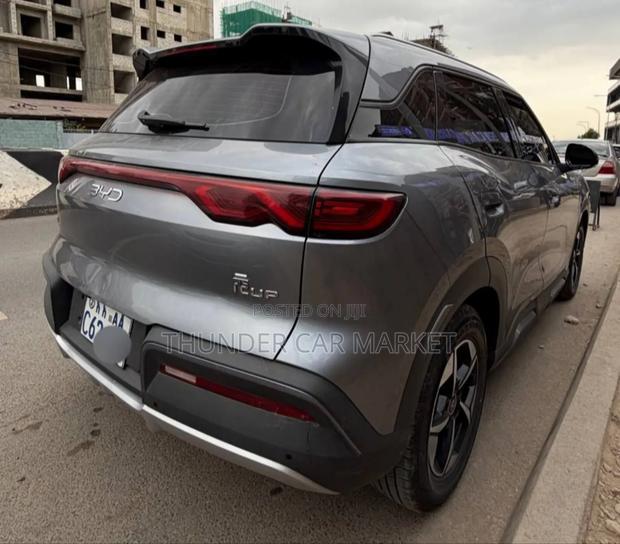 BYD Yuan Up 2024