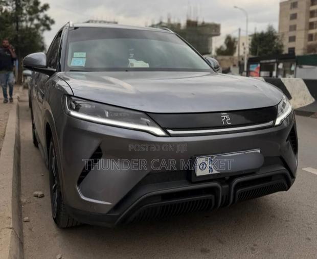 BYD Yuan Up 2024