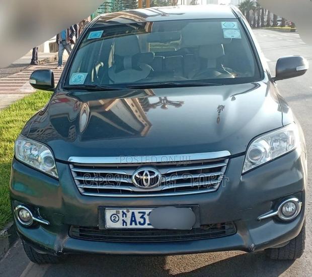 Toyota RAV4 2010 Gray