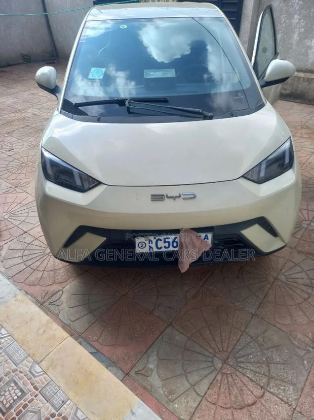 BYD Seagull 2024 Off white