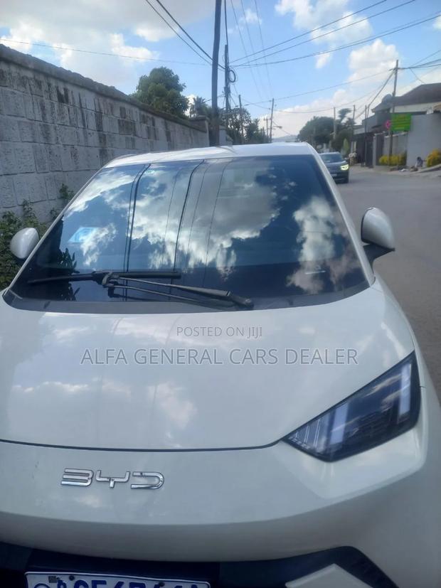 BYD Seagull 2024 Off white