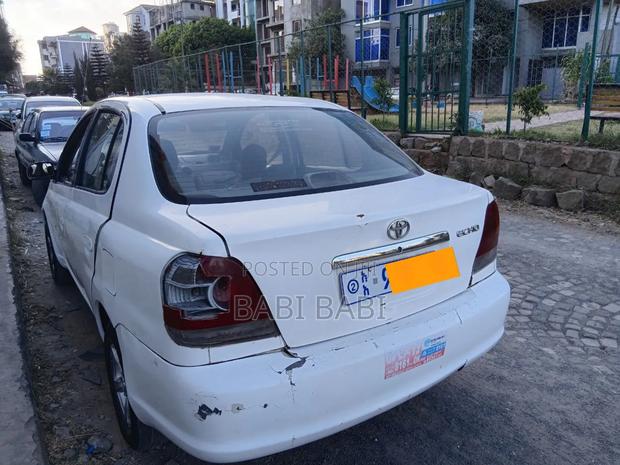 Toyota Echo 2004 White
