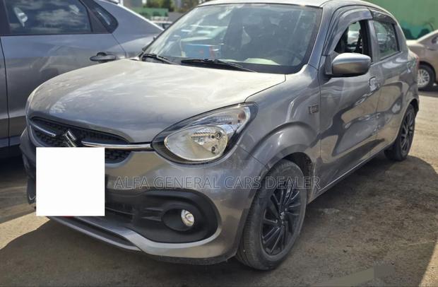 Suzuki Celerio 2022 Silver